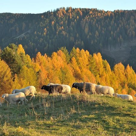 Schiessstandhof Bed & Breakfast Montagna Bagian luar foto